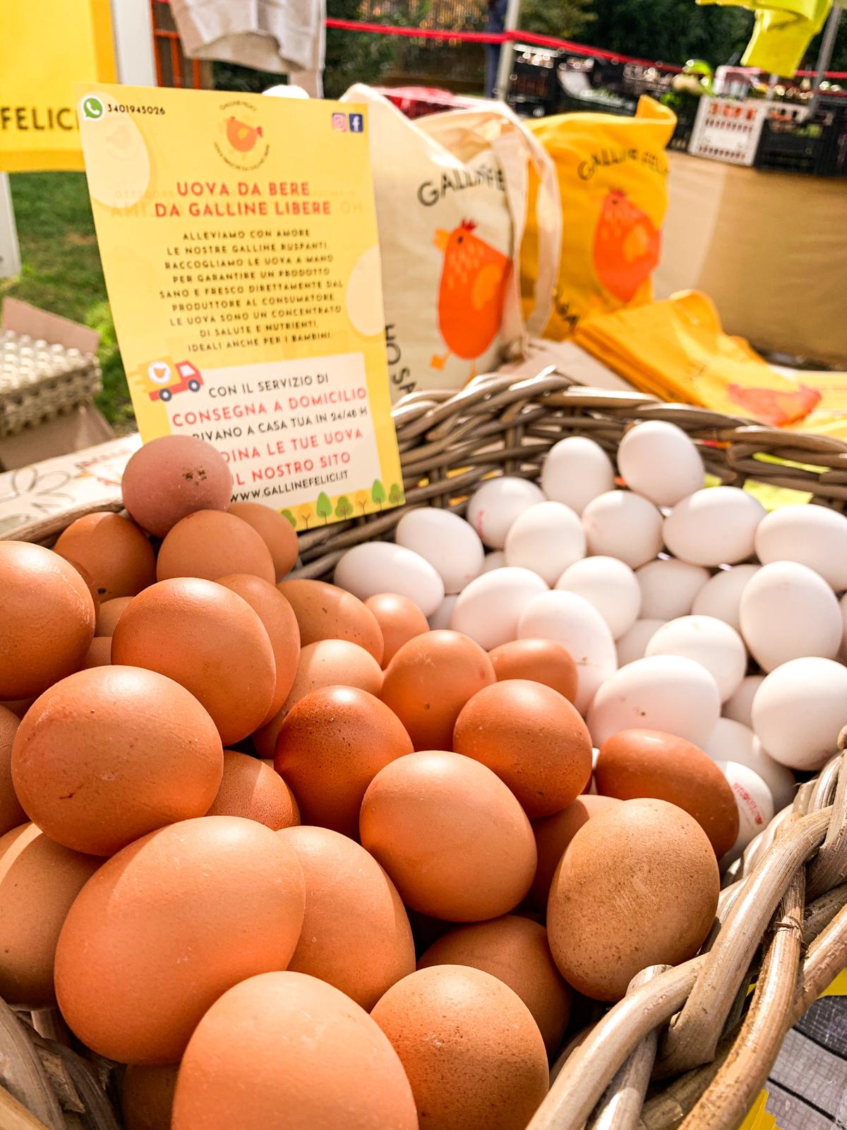 Uova Free Range, Il Significato Di Una Scelta Salutare E Sostenibile - Foto 4