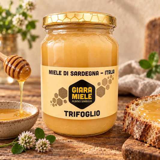 Miele di trifoglio